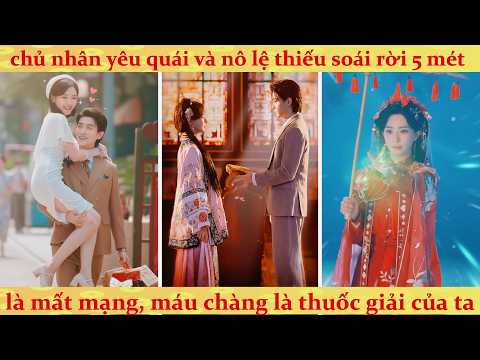 Nữ tổ tông báo mộng dạy dỗ con cháu bất hiếu dám mưu sát bà cố nội