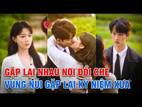 Rwview phim: Gặp Lại nhau nơi đồi chè vùng núi, gặp lại kỷ niệm xưa