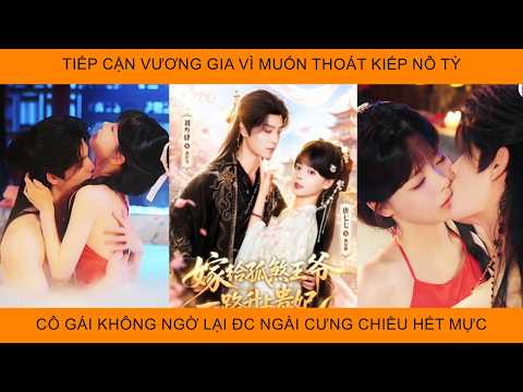 Tiếp Cận Vương Gia Vì Muốn Thoát Kiếp Nô Tỳ, Cô Gái Không Ngờ Lại Được Ngài Cưng Chiều Hết Mực