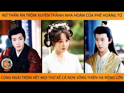 Nữ Thần Ăn Trộm Xuyên Thành Nha Hoàn Của Phế Hoàng Tử Cùng Ngài Trộm Hết Mọi Thứ Cả Non Sông ThiênHạ