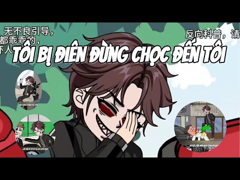 Tôi Bị Điên Đừng Chọc Đến Tôi  || Le Tinh