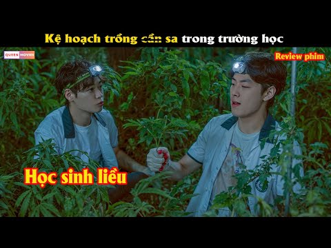 Kệ hoạch trồng c.ầ.n sa trong trường học - Review phim Hàn