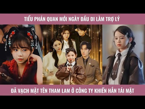 Tiểu phán quan mới ngày đầu đi làm trợ lý đã vạch mặt tên tham lam ở công ty khiến hắn tái mặt