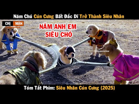 Review phim Năm chú cún cưng bất đắc dĩ trở thành siêu nhân | Siêu nhân cún cưng 2025