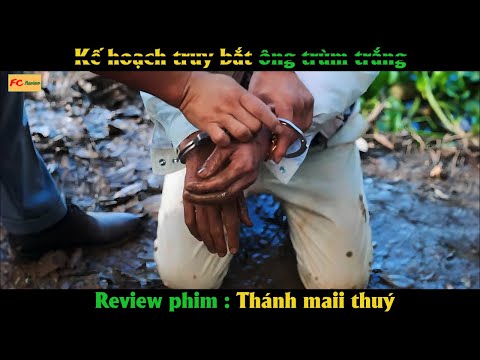 Phi vụ giao dịch xuyên quốc gia - Review phim Cực Hay