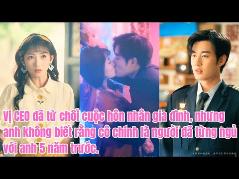 Vị CEO đã từ chối cuộc hôn nhân gia đình,nhưng anh không biết rằng cô chính là người đã từng ngủ với