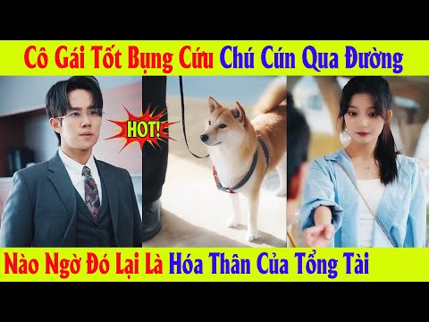Cô Gái Tốt Bụng Cứu Chú Cún Qua Đường Nào Ngờ Đó Lại Là Hóa Thân Của Tổng Tài