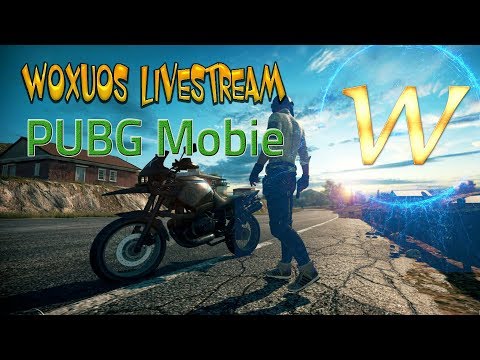 [PUBG Mobie] Tryhard to ACE rank