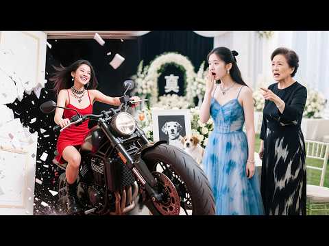 Cô Vợ Ly Dị Của Tổng Tài Là Nữ Giang Hồ Không Ngờ Thẳng Tay Quậy Nát Đám Tang Con Chó Của Tiểu Tam