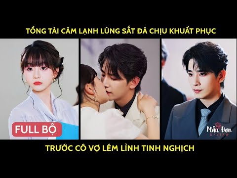 Tổng tài câm lạnh lùng sắt đá chịu khuất phục trước cô vợ lém lỉnh tinh nghịch