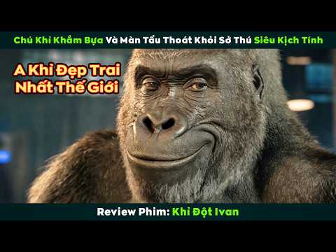 [Review Phim] Chú Khỉ Khắm Bựa Và Màn Tẩu Thoát Khỏi Sở Thú Siêu Kịch Tính | Khỉ Đột Ivan