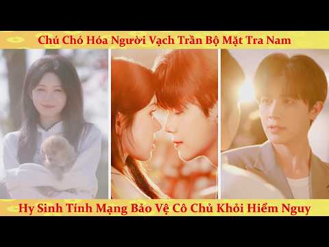 Khương Thập Thất: Chú chó hóa người quay về báo thù kẻ sát hại mình và cái kết đẫm nước mắt