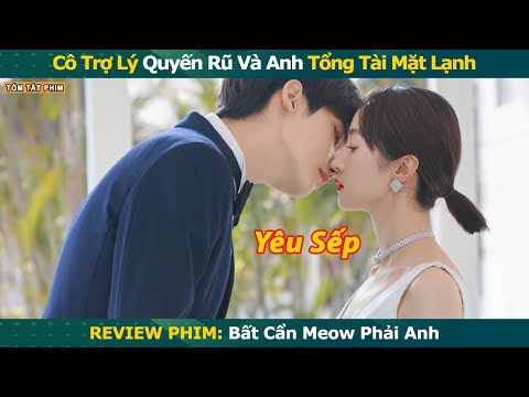 Review Phim: Bất Cẩn Meow Phải Anh || Tóm Tắt Phim: Accidentally Meow On You | Phim Ngôn Tình