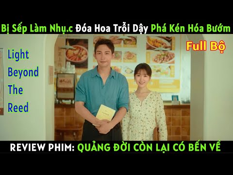 [REVIEW PHIM] Quảng Đời Còn Lại Có Bến Về - Light Beyond The Reed. Full Bộ| #review #phimngontinh