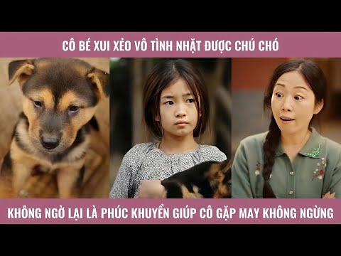 Cô bé xui xẻo vô tình nhặt được chú chó không ngờ lại là phúc khuyển giúp cô gặp may không ngừng