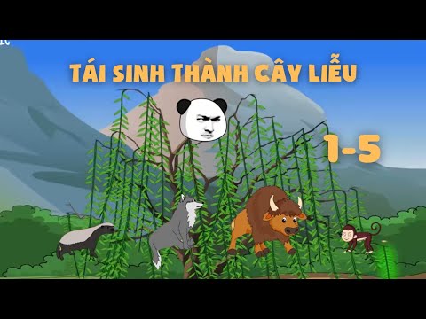 Full | Tái Sinh Thành Cây Liễu - Tập 1 đến 5 | Gà Review